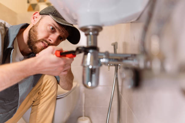 Best Plumbing Services Near Me  in Covedale, OH